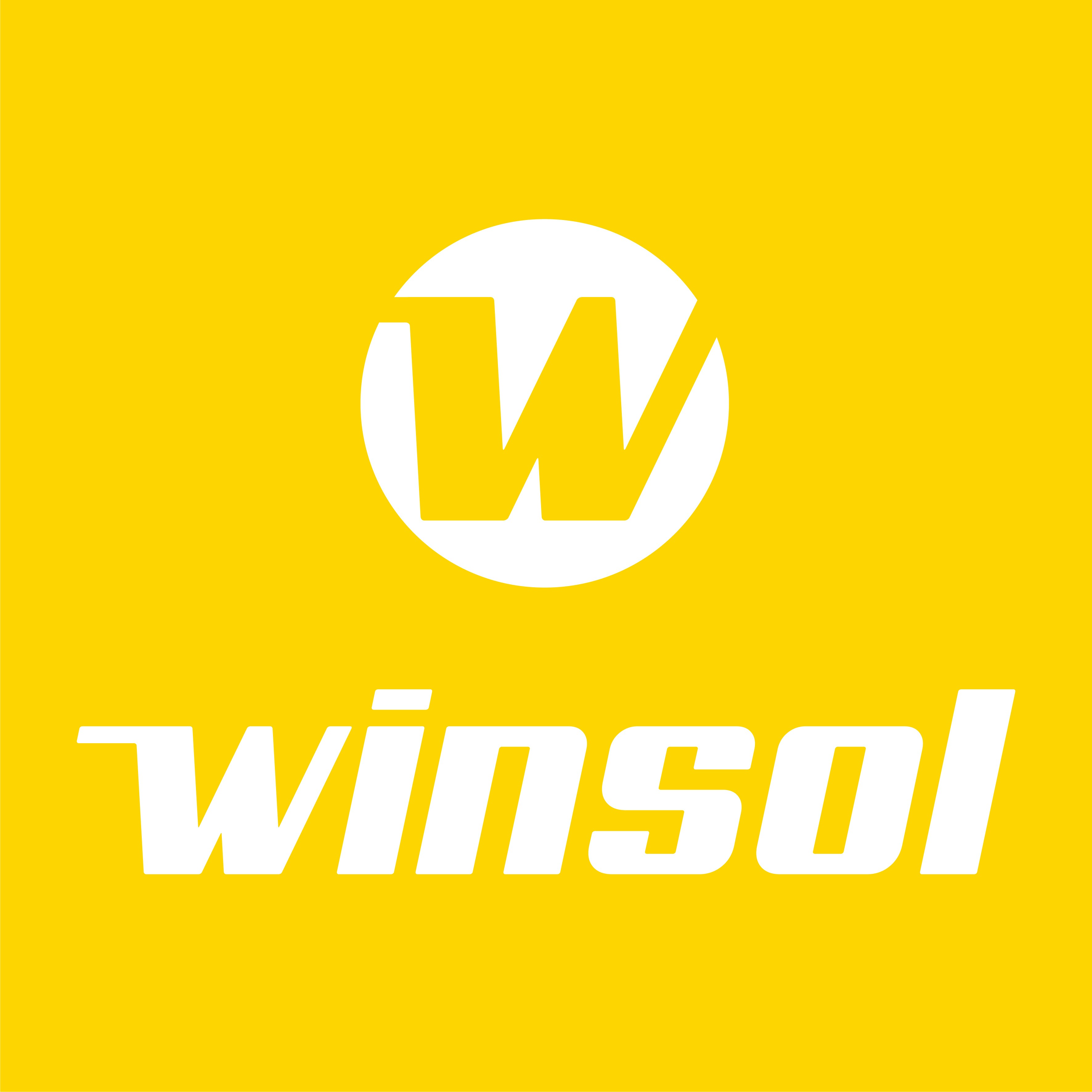 Winsol logo