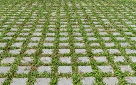 Oprit in Grasdallen: Mogelijkheden & Prijs