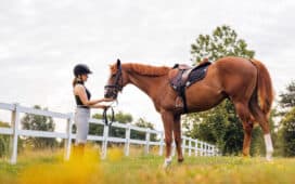 Paardenafsluiting