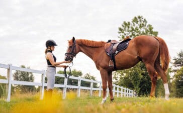 Paardenafsluiting