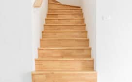 Rubberwood trap
