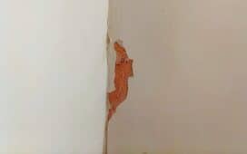 Scheur in buitenmuur herstellen