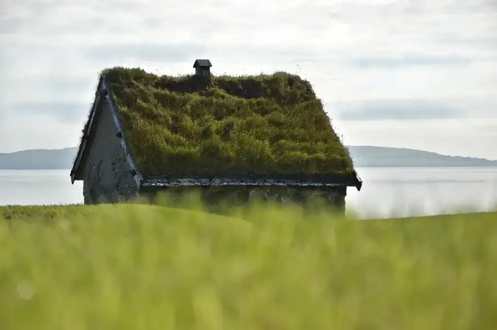 Huis met een groen dak
