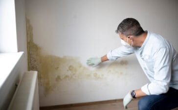 Schimmelplekken schilderen na behandeling: stappenplan