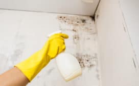 Schimmel verwijderen in de badkamer